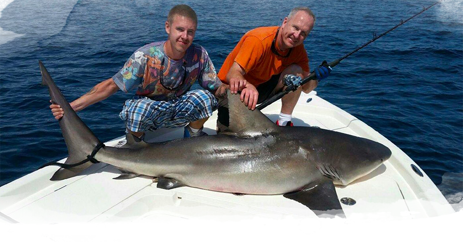 Cape Canaveral Shark Fishing