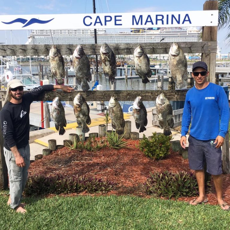 Post Port Canaveral Fishing 3 Ways to Cook Your Catch Fin & Fly