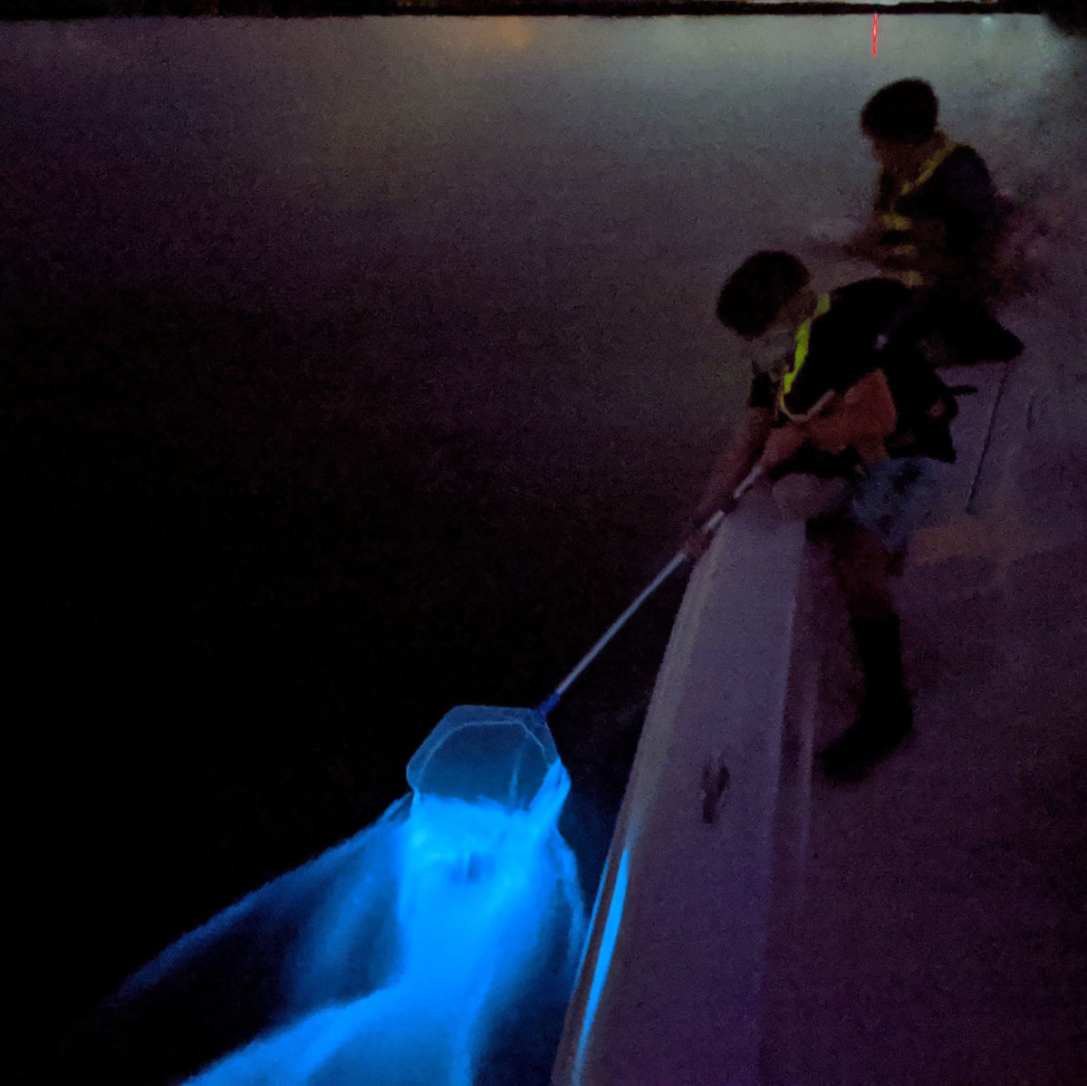 Fin and Fly Fishing Charters - Bioluminescence Night Charter