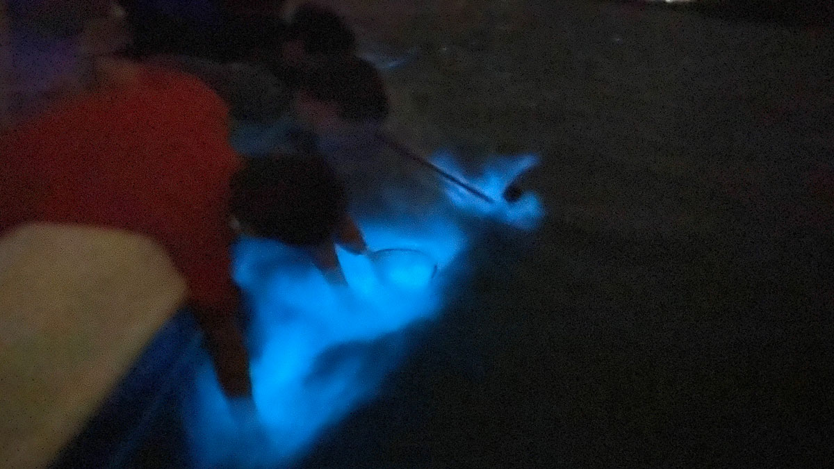 Bioluminescent water at night on a Cocoa Beach tour