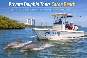 Private dolphin tours in Cocoa Beach with Fin & Fly Charters boat and dolphins swimming nearby